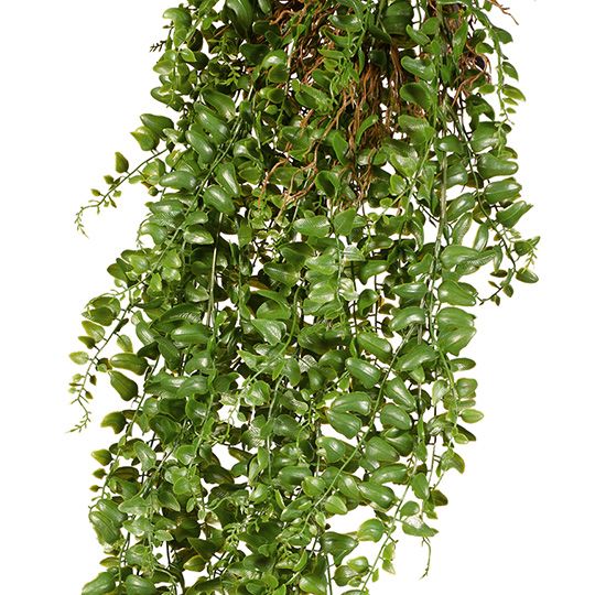 Fern Pond Hanging Bush Green 81cm Pack of 6