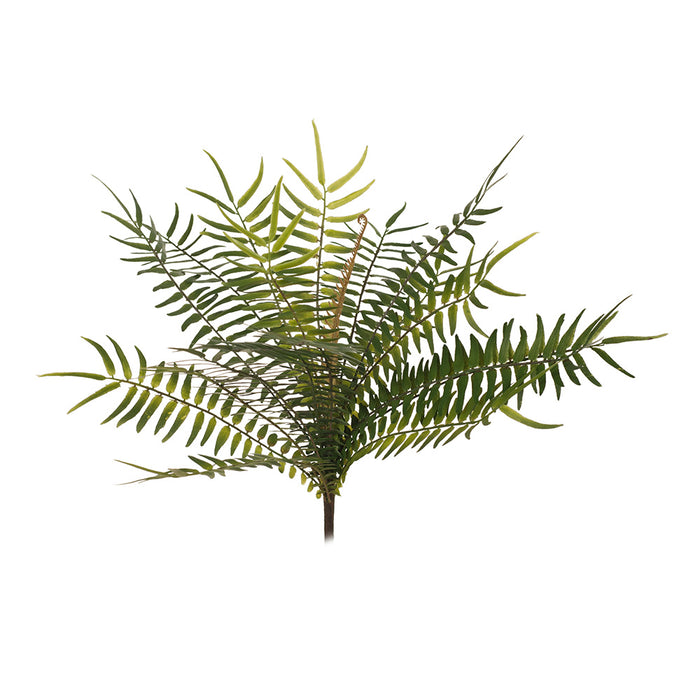 Fern Sword Bush Green 33cm Pack of 12