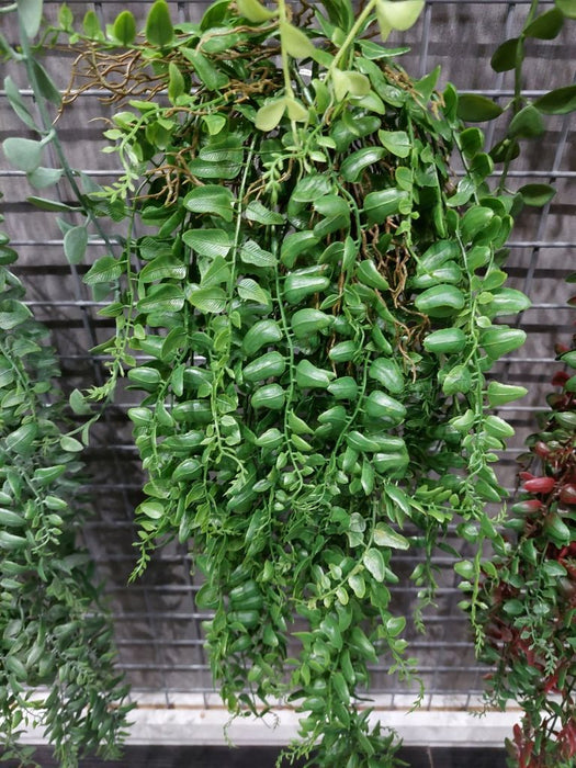 Fern Pond Hanging Bush Green 81cm Pack of 6
