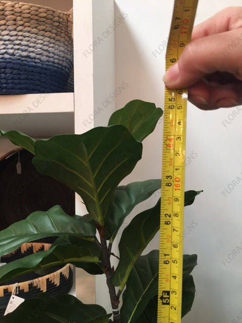 Fiddle Leaf Tree 3 Stems 168cm