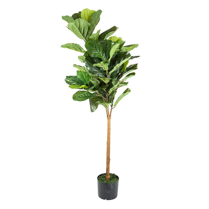 Fiddle Leaf Tree Real Touch 132cm