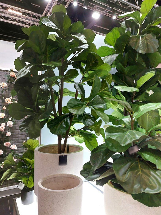 Fiddle Leaf Tree Green 153cm Pack of 2