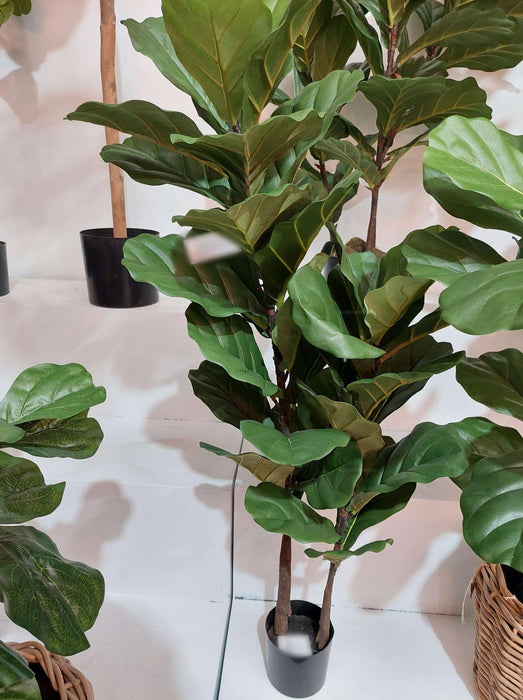 Fiddle Leaf Tree 113cm