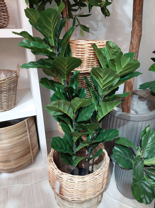 Fiddle Leaf Tree 133cm