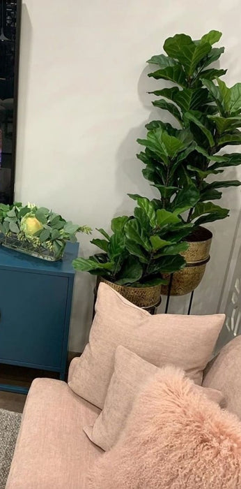 Fiddle Leaf Tree 133cm