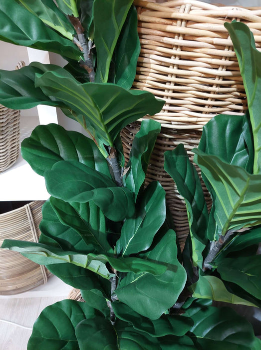 Fiddle Leaf Tree 133cm