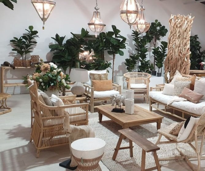 Fiddle Leaf Tree 215cm