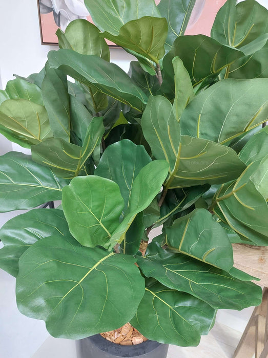 Fiddle Leaf Tree with 70 Leaves 75cm