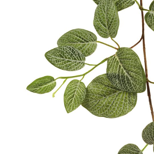 Fittonia Hanging Garland Green 181cm Pack of 6