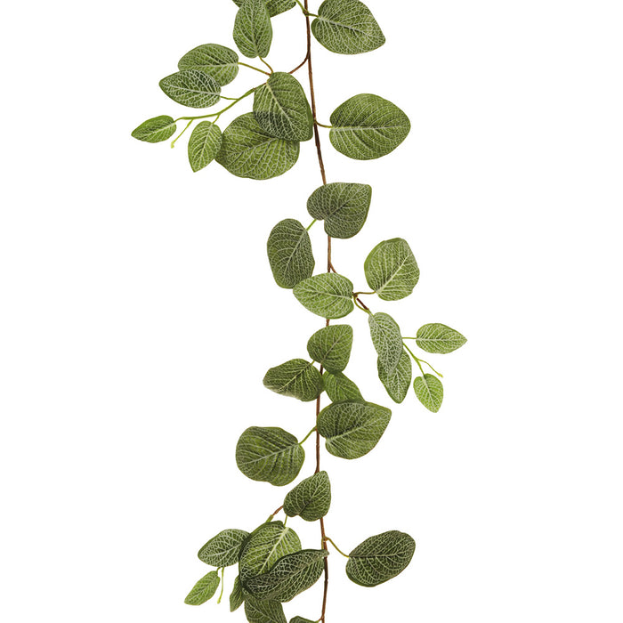 Fittonia Hanging Garland Green 181cm Pack of 6