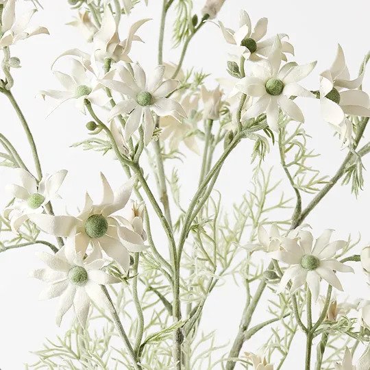 Flannel Flower Plant Cream Green 70cm Pack of 2