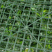 Spring Sensation Hedge Screen Green Wall Panel UV Resistant 100cm x 100cm
