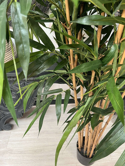 Giant Bamboo Tree 240cm