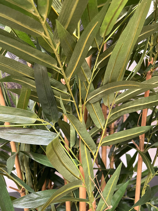 Giant Bamboo Tree 240cm