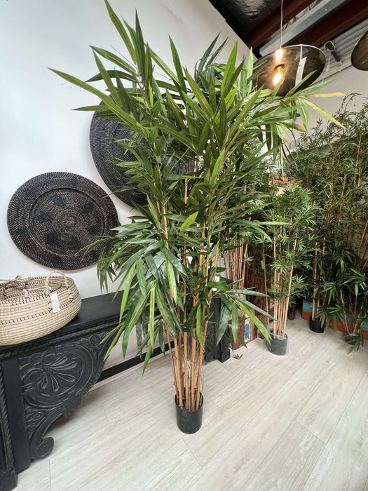 Giant Bamboo Tree 240cm