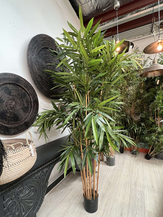 Giant Bamboo Tree 240cm