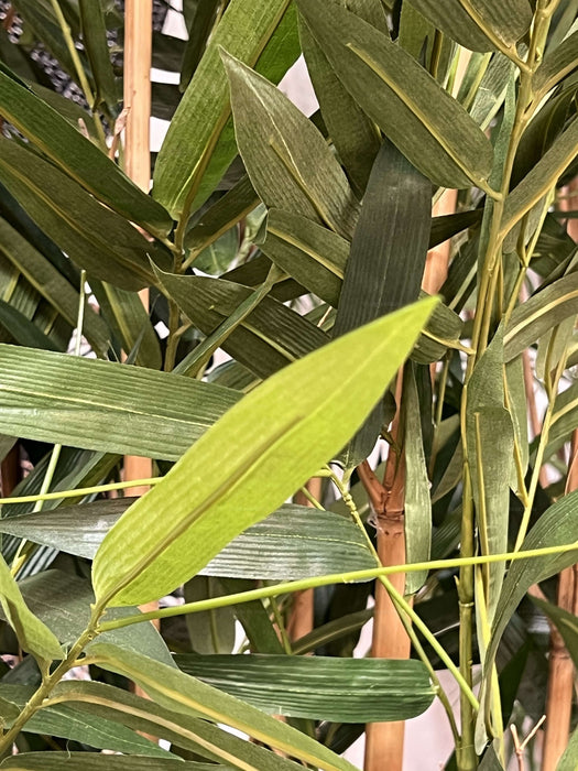 Giant Bamboo Tree 240cm