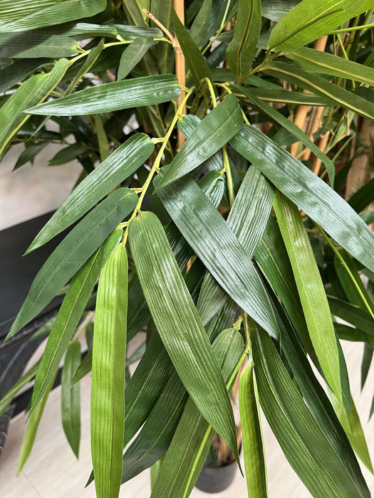 Giant Bamboo Tree 240cm