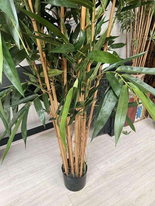 Giant Bamboo Tree 240cm
