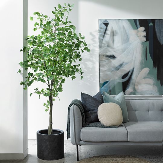 Ginkgo Tree Green 213cm Pack of 2