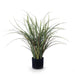 Grass Plant Grey Green 59cm Pack of 2