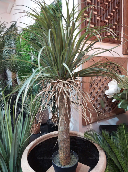 Grass Tree Small 110cm