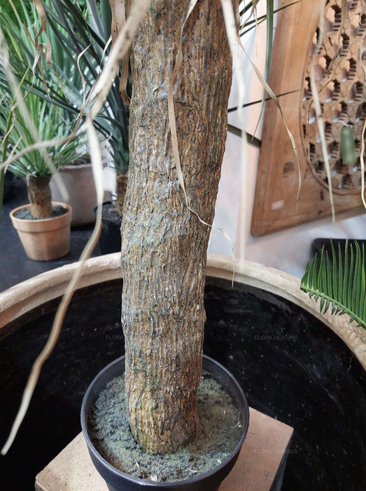 Grass Tree Small 110cm