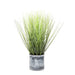 Grass in Pot 48cm Pack of 2