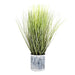 Grass in Pot 64cm Pack of 2