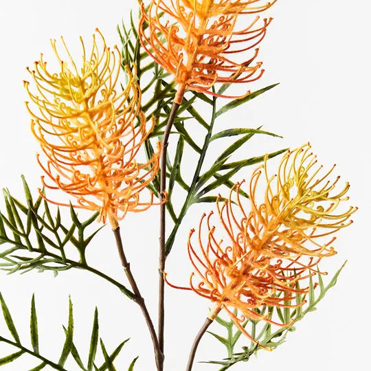 Grevillea Spray 84cm Orange Yellow Pack of 12