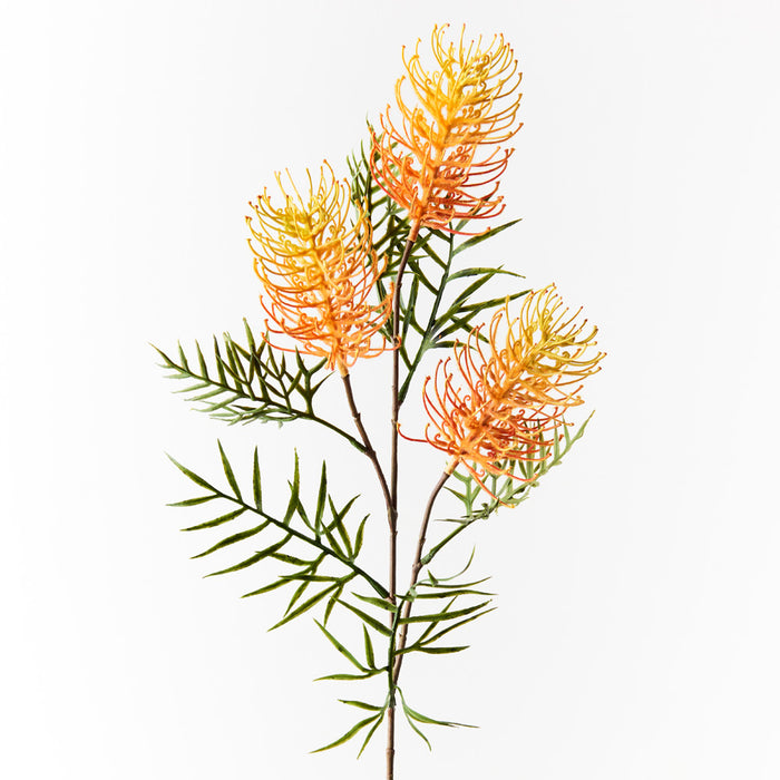 Grevillea Spray 84cm Orange Yellow Pack of 12