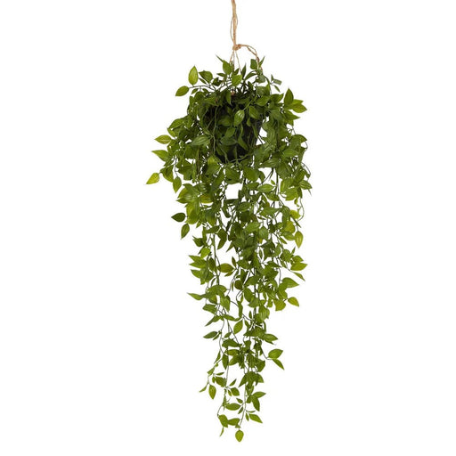 Hanging Leaves with Black Pot Pack of 6