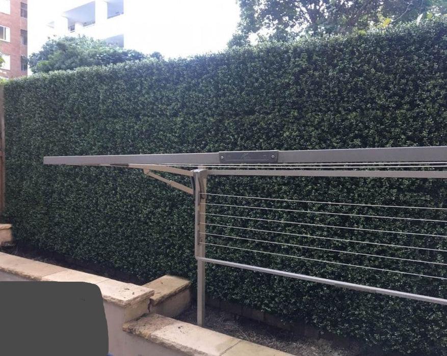 Premium Natural Buxus Hedge Panels UV Resistant 1m x 1m