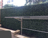 Premium Natural Buxus Hedge Panels UV Resistant 1m x 1m