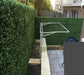 Premium Natural Buxus Hedge Panels UV Resistant 1m x 1m