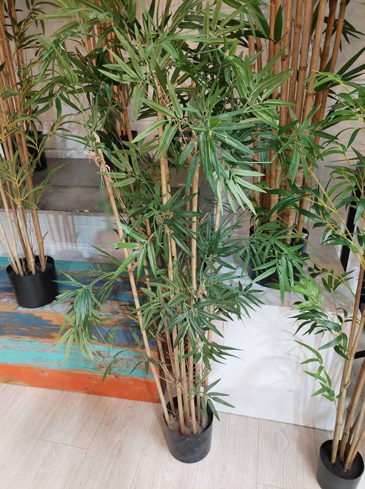 Japanese Bamboo Tree 120cm