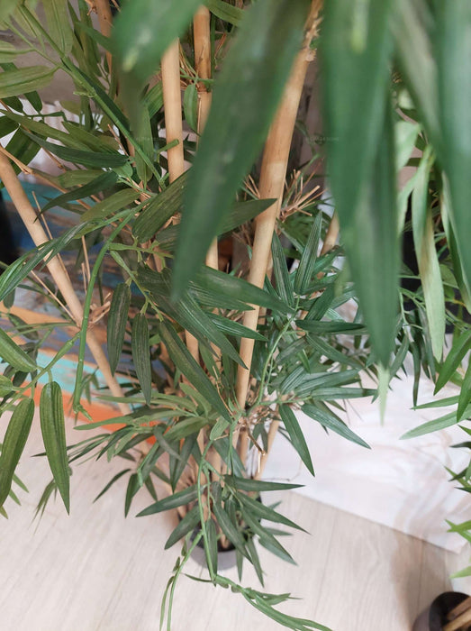 Japanese Bamboo Tree 120cm