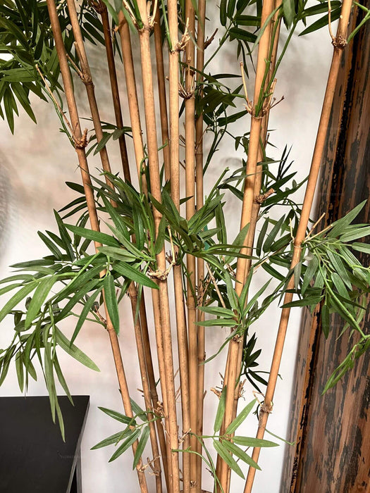 Japanese Bamboo Tree 190cm