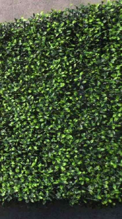 Large Portable Boxwood Hedges UV Resistant 200cm
