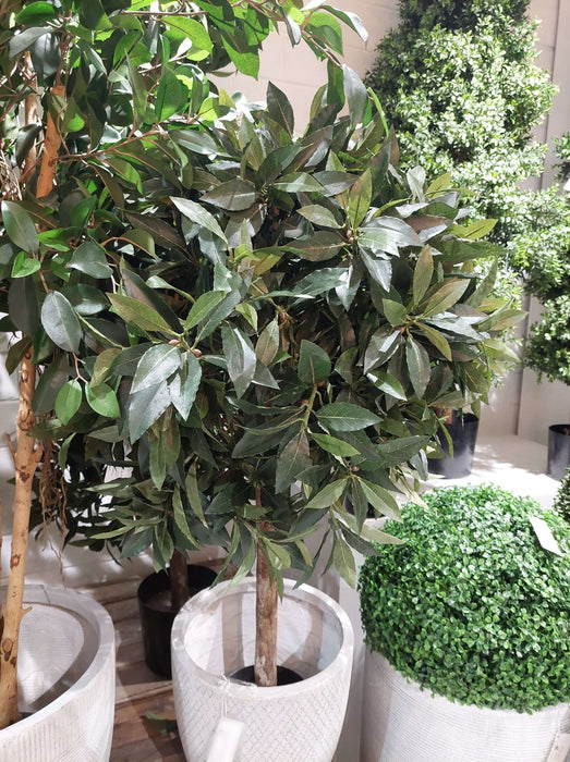 Laurel Ball Topiary Tree 110cm