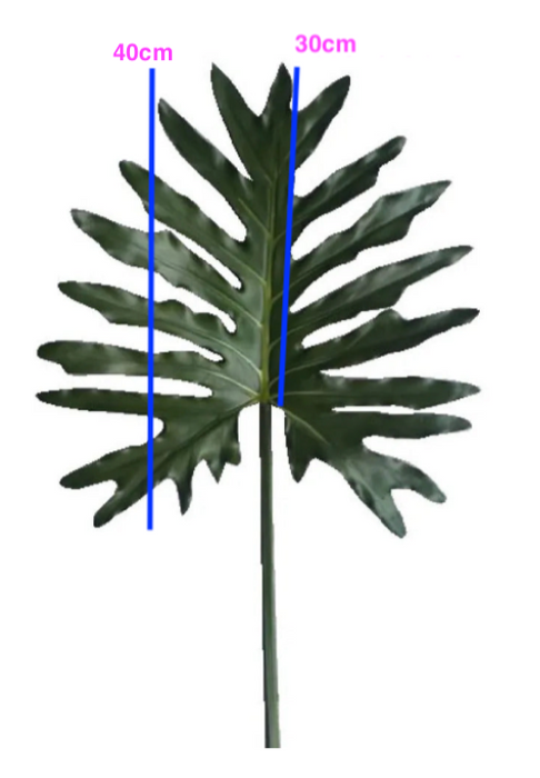 Leaf Philodendron Spray 85cm Pack of 12