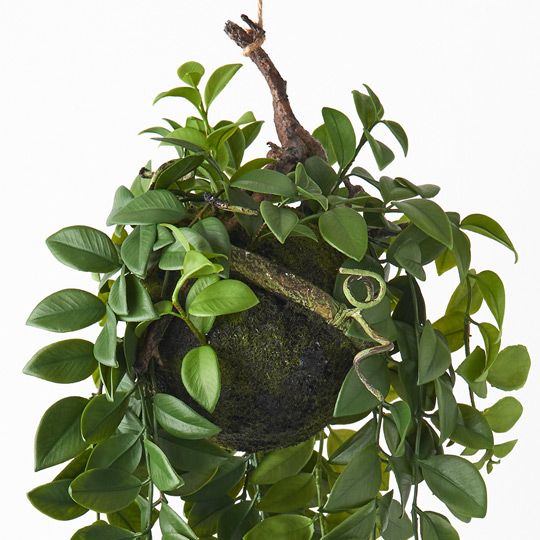 Locust Honey Hanging Ball Green 92cm Pack of 2