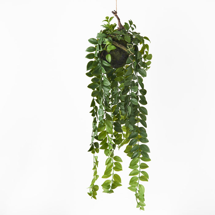 Locust Honey Hanging Ball Green 92cm Pack of 2