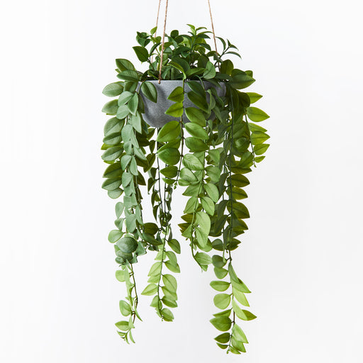 Locust Honey Hanging Bowl Pack of 2