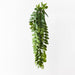 Locust Honey Hanging Bush Green 86cm Pack of 6