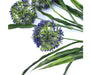 Lush Flowering Purple Hydrangea Stem 35cm