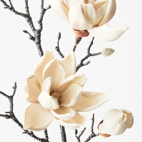 Magnolia Japanese Spray 100cm Cream Pack of 12