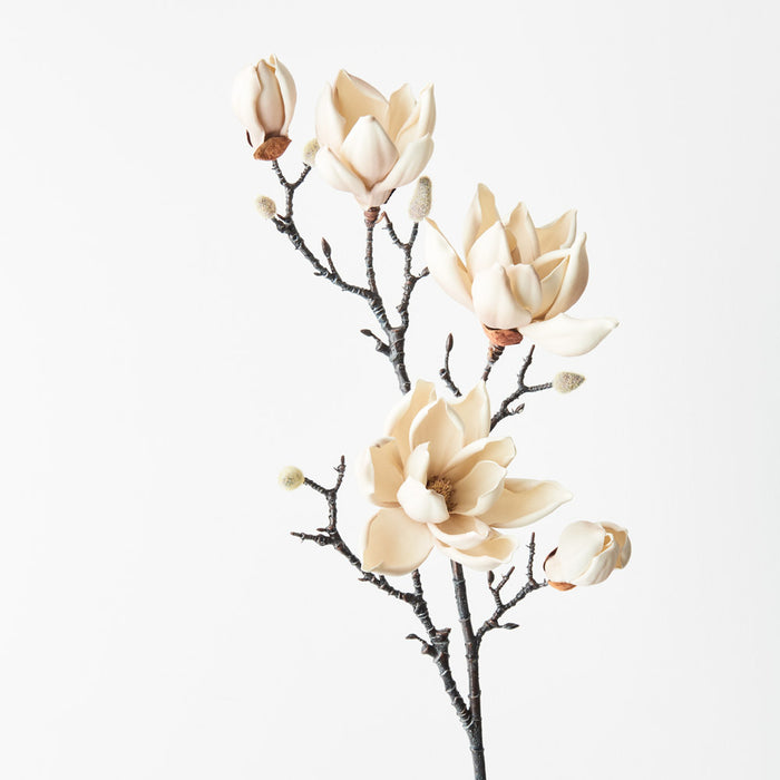 Magnolia Japanese Spray 100cm Cream Pack of 12