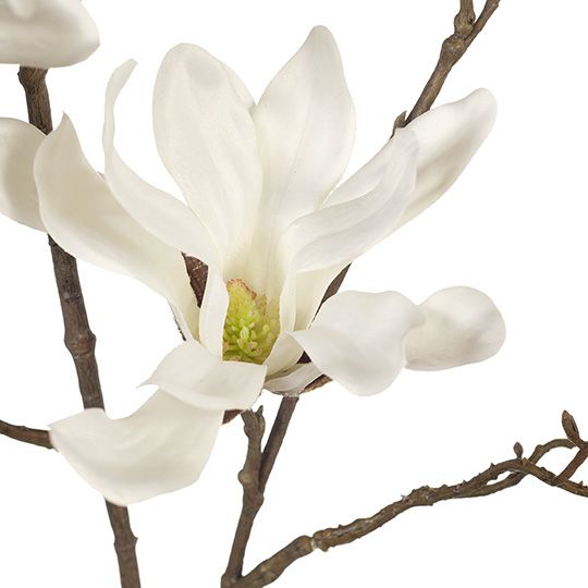 Magnolia Japanese Spray White 95cm Pack of 12