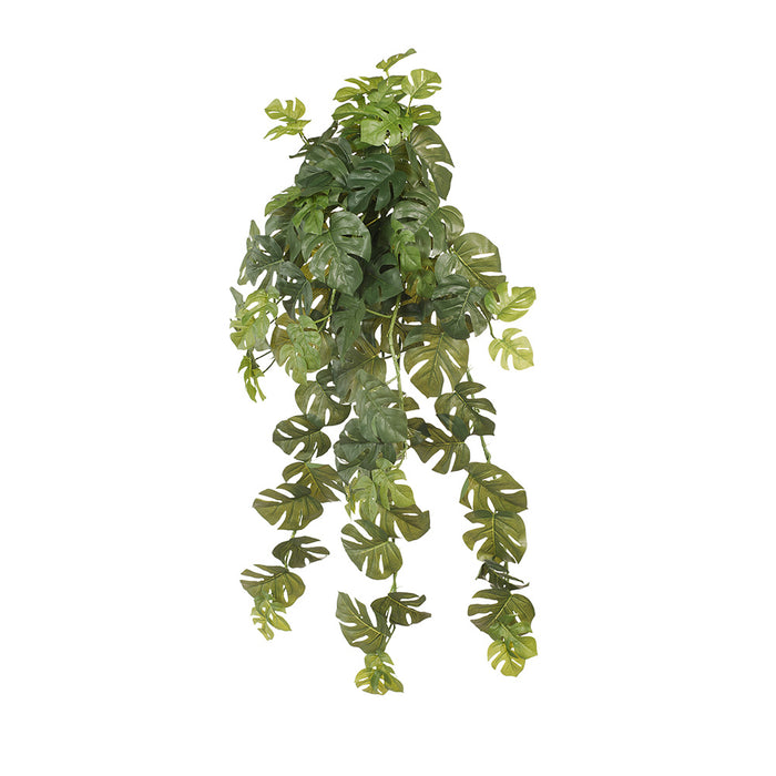 Monstera Hanging Bush Green 83cm Pack of 4
